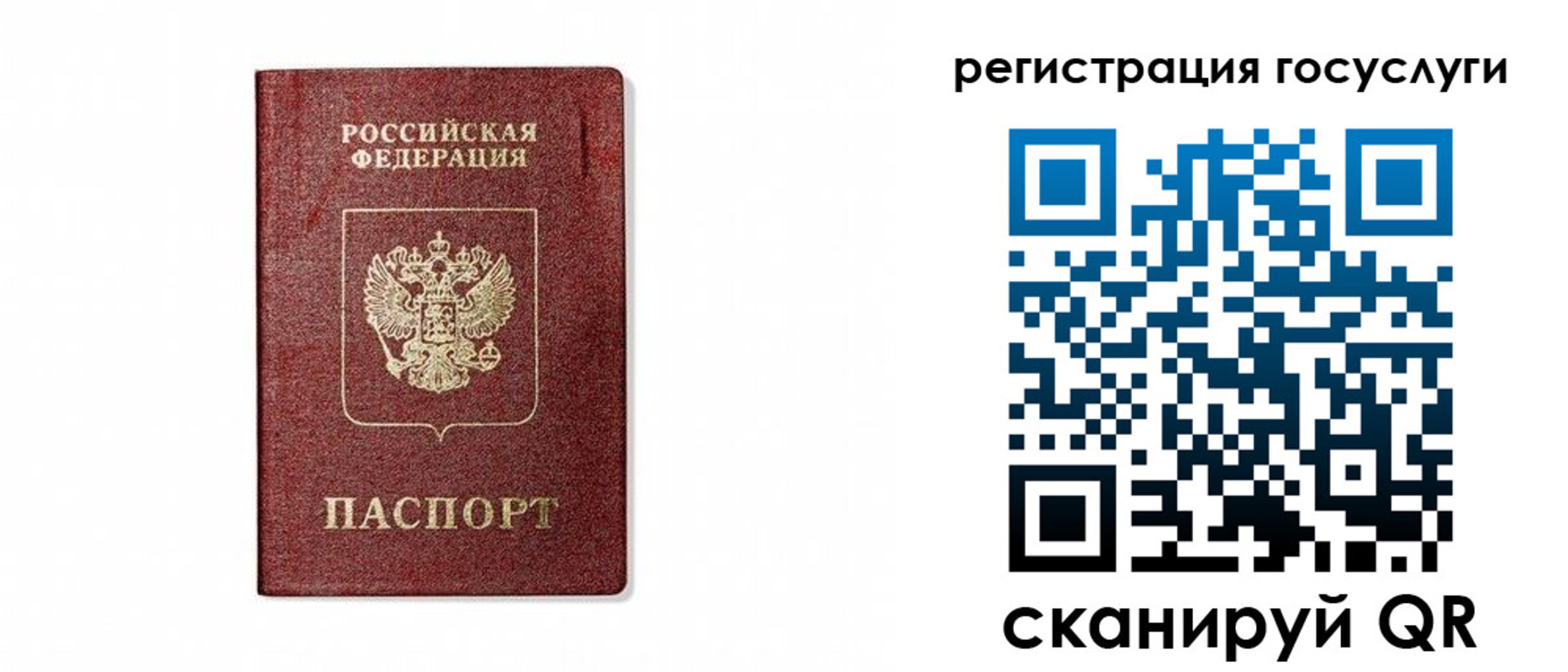 прописка паспорт в Вязьме